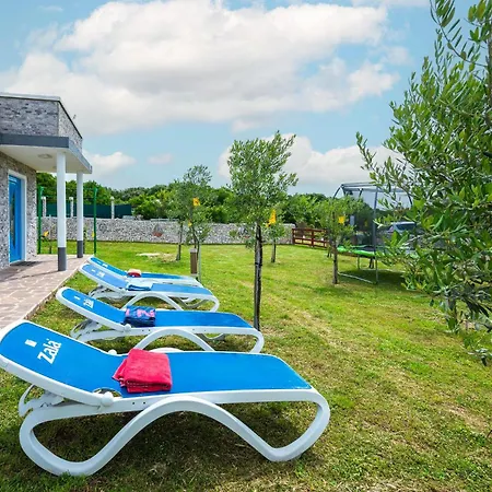 Pet Friendly In Peroj