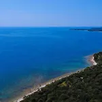 Hébergement de vacances Pet Friendly In *